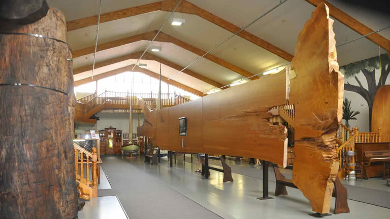 Brilliant Bay of Islands