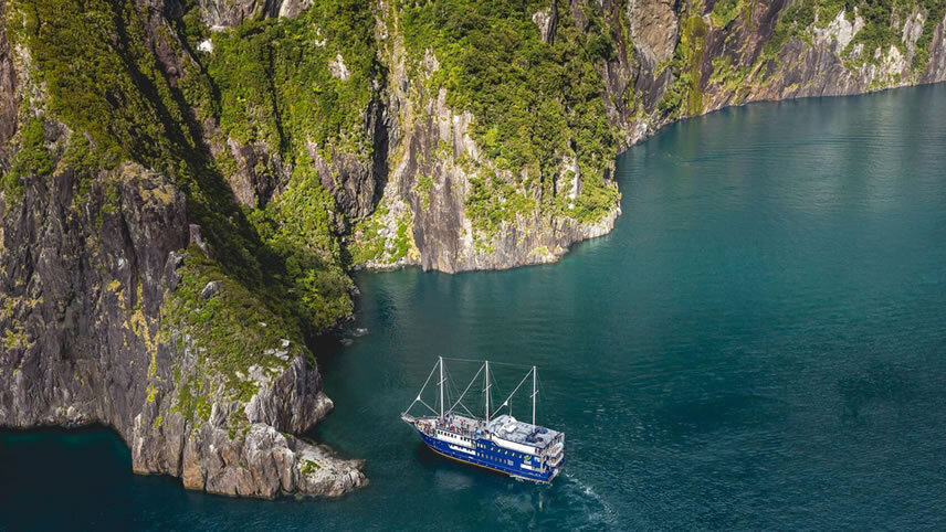 New Zealand's Southern Drift (Small Group)