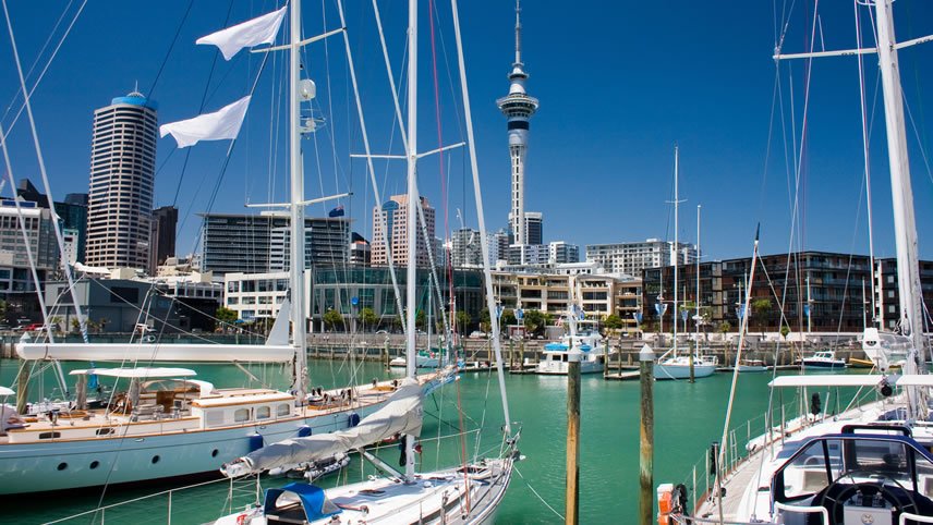 Sydney to Auckland Cruise