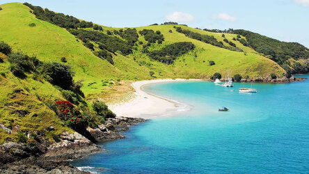 Bay of Islands Beauty