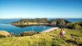 12 Day Best Of New Zealand (Celebrity Cruises)