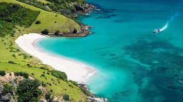 16 Day New Zealand (Princess)