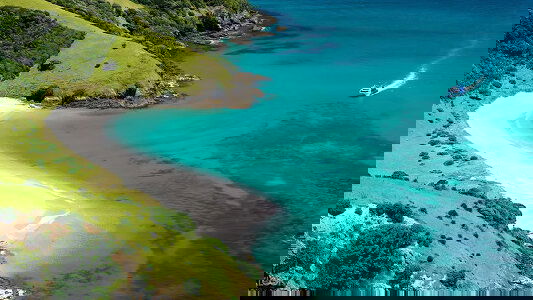 Cruises From Auckland