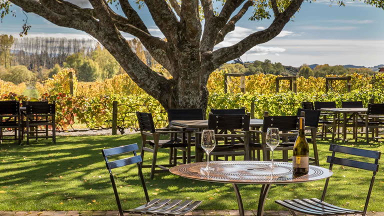 Neudorf Vineyard Nelson New Zealand