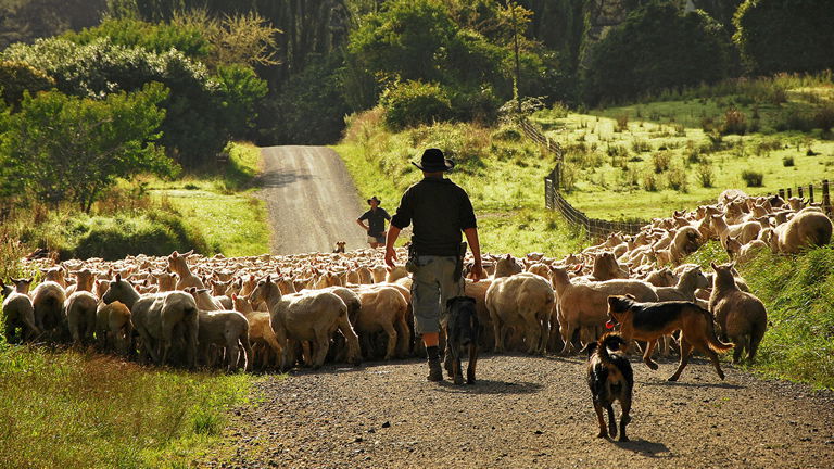 Blue Duck Station, Whanganui, New Zealand
