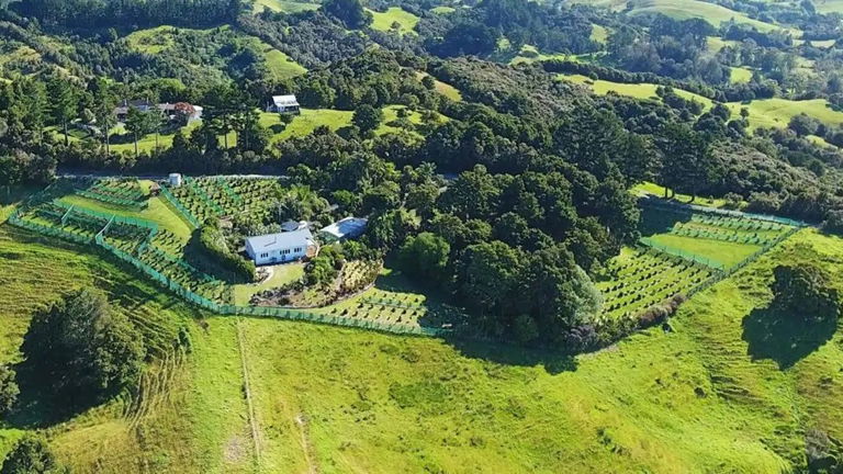 Ikarus Coffee Farm, Doubless Bay, New Zealand