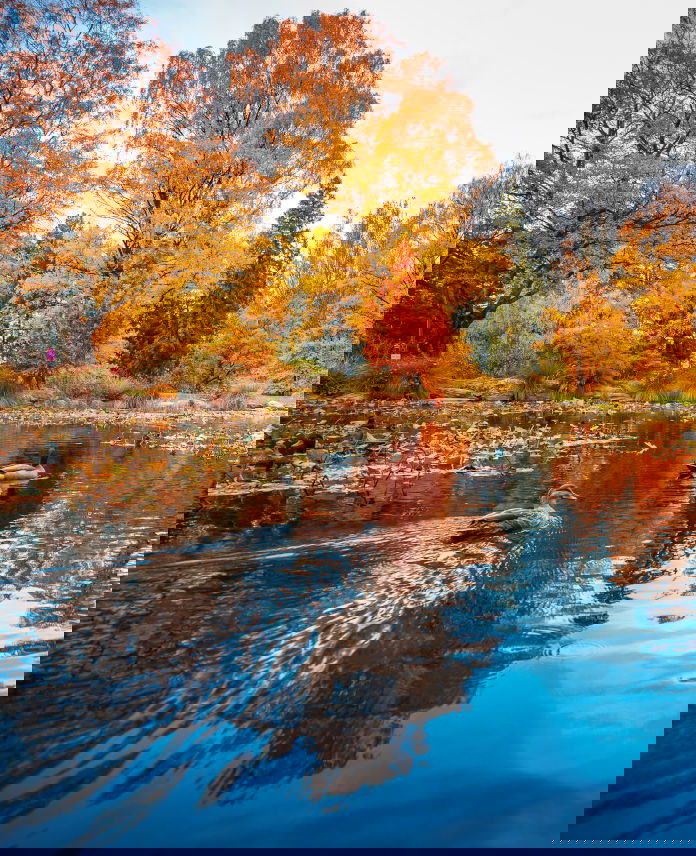 The Best Time to Visit New Zealand