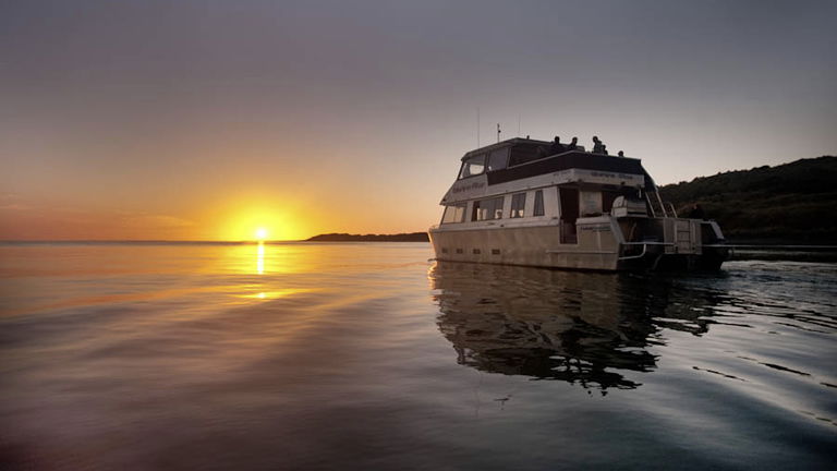 Raglan Sunset Cruise, New Zealand