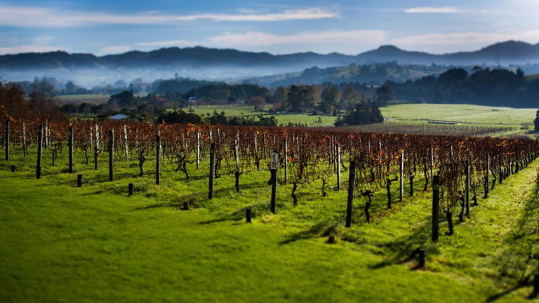 Ransom Winery Ransom Winery