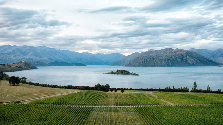 Rippon Wines