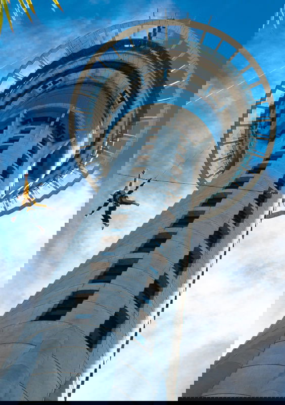 7 Things to Do in Auckland