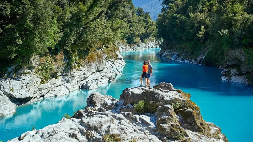 Discover Top of the South Island