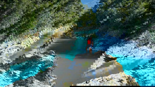 Discover Top of the South Island