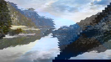 15 Day Expedition to New Zealand's Subantarctic Islands  (Ponant)