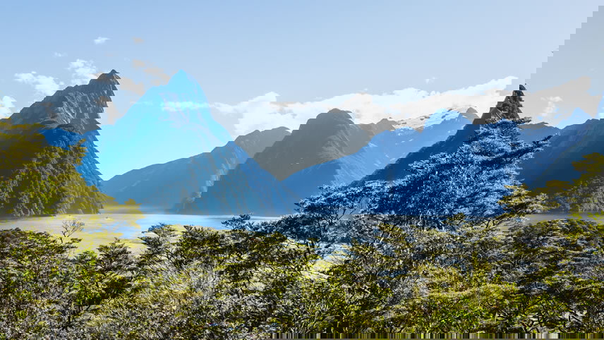 New Zealand & South Pacific Crossing Collector