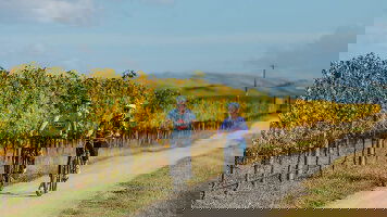Cycling Tours
