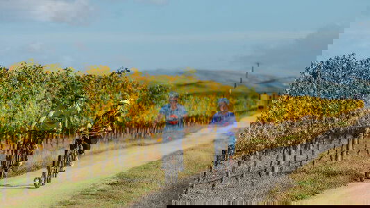 Cycling Tours