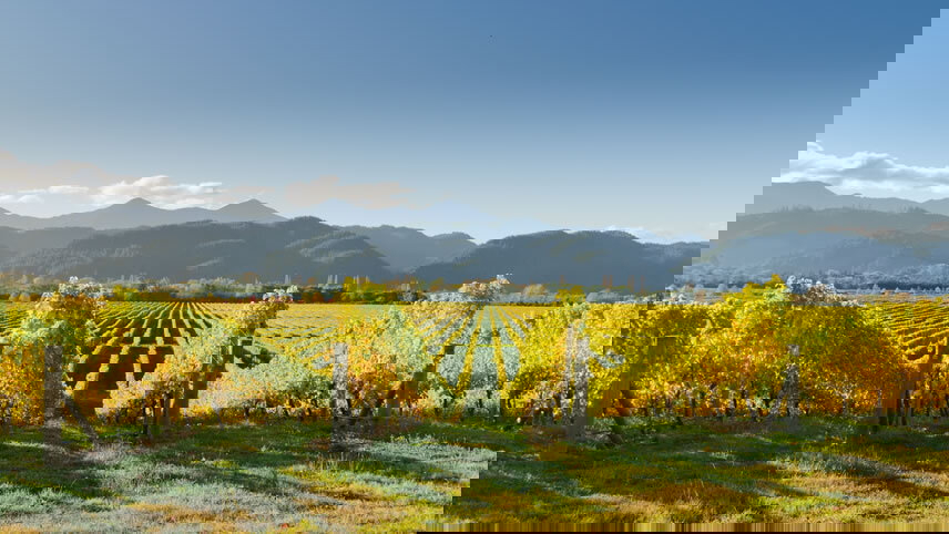 Coastal Highlights Tour