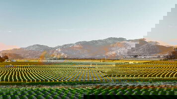 10 Day Cities & Coastal Highlights Tour (Great Journeys New Zealand)