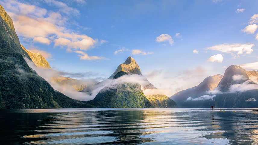 New Zealand Cruise