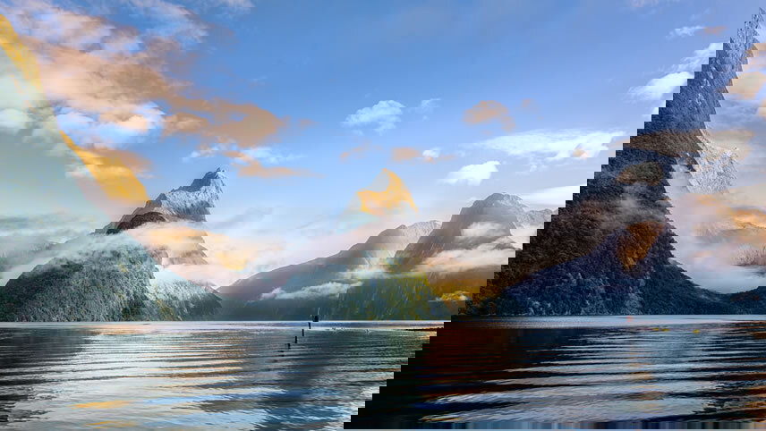 New Zealand Cruise