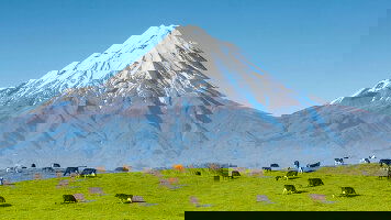 52 Day World Cruise Liner - South Pacific & Indian Ocean (Princess)