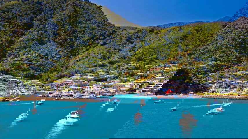 New Zealand Holiday Cruise