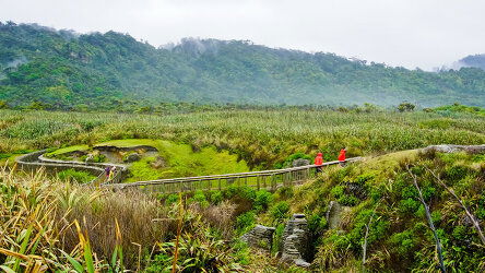 11 Day Signature Top of the South Island (Grand Pacific)