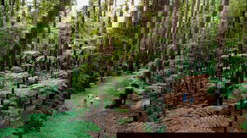 North Island Tours Tours