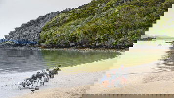 Small Group Tours