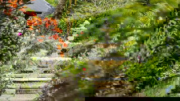 9 Day New Zealand's Taranaki Garden Spectacular & Private Gardens of the North and South Islands (APT)