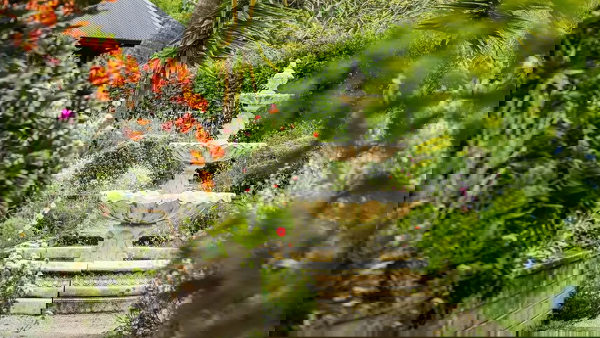 New Zealand's Taranaki Garden Spectacular & Private Gardens of the North and South Islands