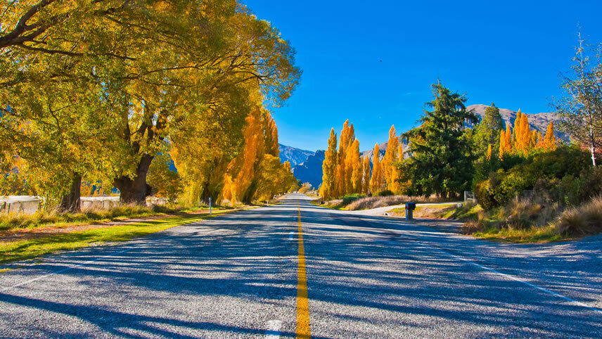 New Zealand South Island Splendour