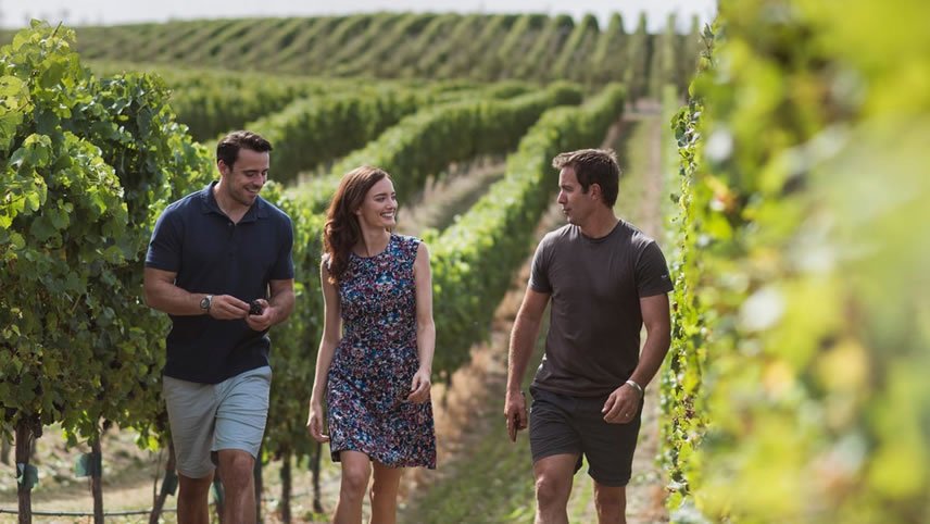 wine tours new zealand south island