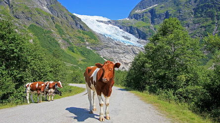 Witness Europe’s Largest Glacier 