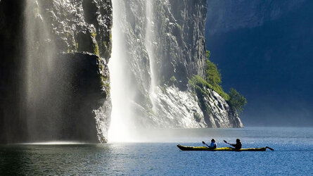 Exploration and Wildlife 