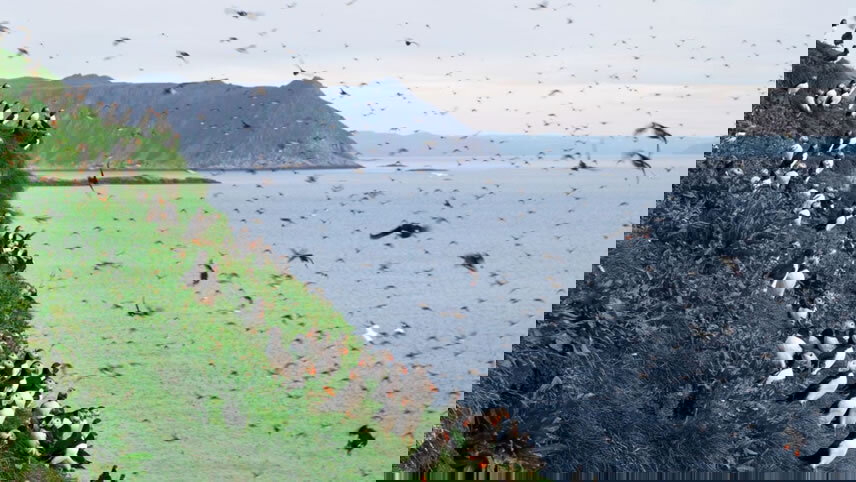 Gjesvaerstappan Islands