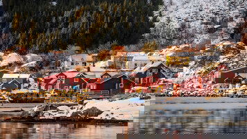 25 Day Nordic Wildlife, Fjords and the Arctic Circle - Cruise & Land Journey (Scenic)