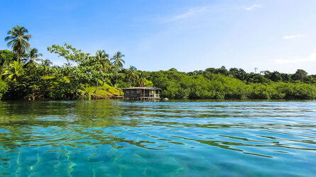 <a class="u-link fw-600" href="/tours/panama">Panama By Land & Sea</a>