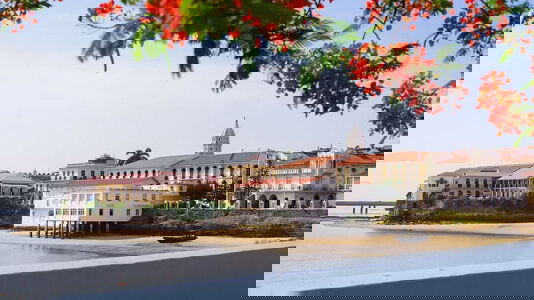 Panama Cruises Trips)