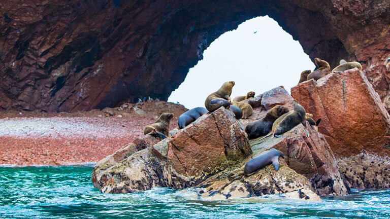 Premium Peru with Ica Valley