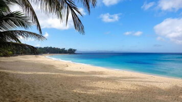 13 Day Borneo & The Sulu Sea (Oceania)