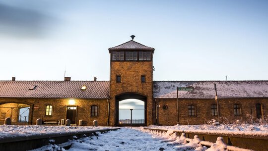 Stirring Narratives of Auschwitz