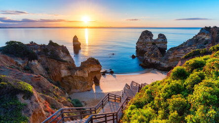 Sardines and Sunshine