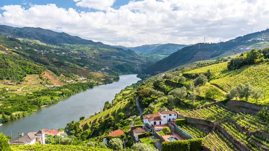 Secrets of the Douro & Sevilla