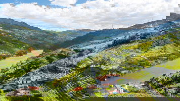 Douro River River Cruises