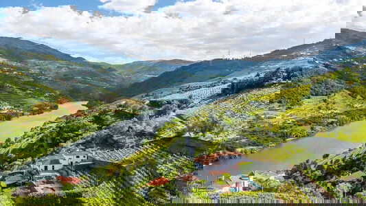 Douro River River Cruises)