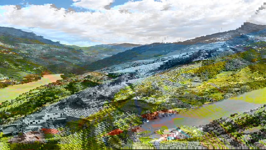 Flavors of Portugal & Spain (Christmas)