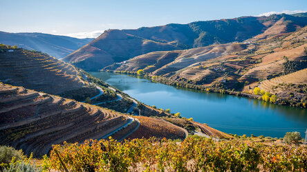 8 Day Vida Portugal: Vineyards & Villages Along the Douro (Avalon River Cruises)