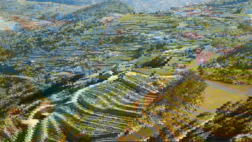 Barcelona to Lisbon & Secrets of the Douro